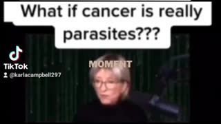 Cancer=Parasites?