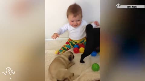 Baby play to dog