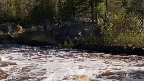 Fall Colors along a Rushing River