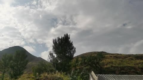 Green mountains, green water and big trees under the white clouds