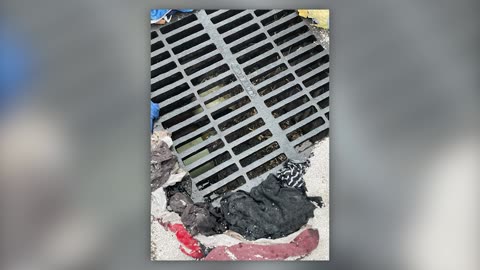 Transport truck leaks 180 gallons of oil into storm drain