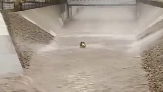 LA firefighter dangling from helicopter rescues a man