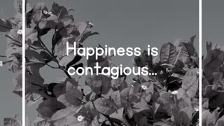 Happiness is contagious...