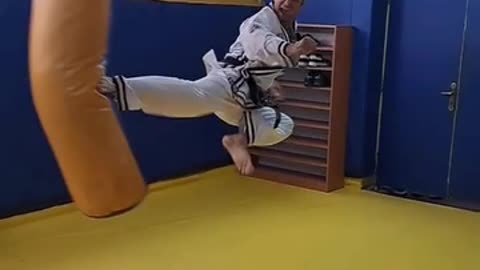 Jump Spinning Back Kick