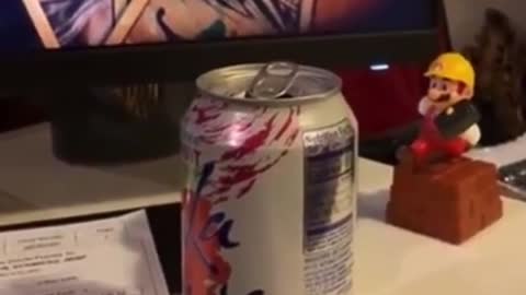 Parrot getting up and down behind a can