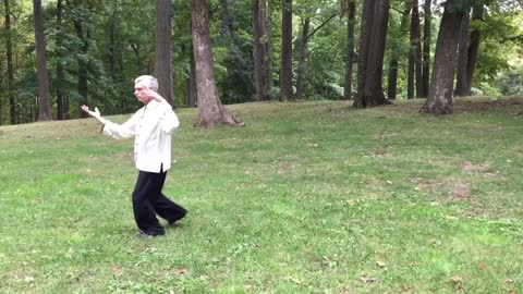 Tai Chi 24 Posture Form