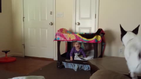 Cute baby adorably entertained by dog