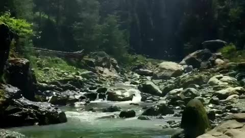 Beautiful Nature and River flow.