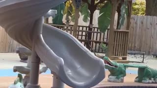 Curious Kitty Regrets Getting On Slide