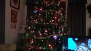 Sneek Peek Inside Christmas 2016