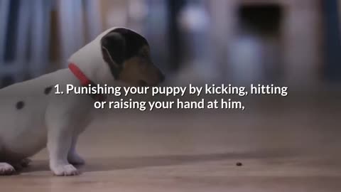 How to Stop your Dog from Barking 🐕