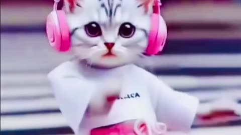 cat dancing