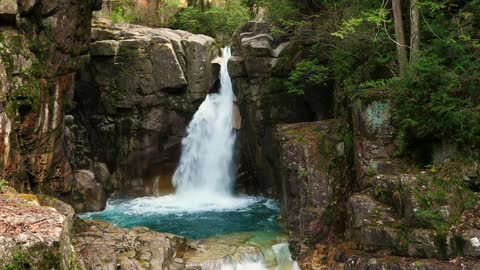 Nature sounds - Naturally healed waterfalls, mountain streams, and bird voices Nature