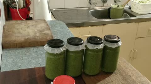 Basil Pesto