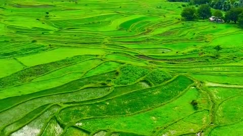 Leepa valley Pakistan ajk India Asia 🌏