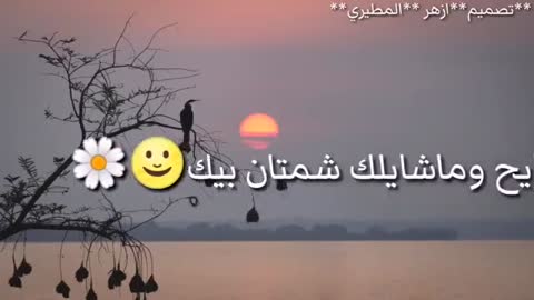 اجمل شعر عراقي اسمعه