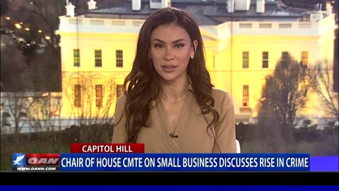 Chair Of House CMTE On Small Business Discusses Rise In Crime