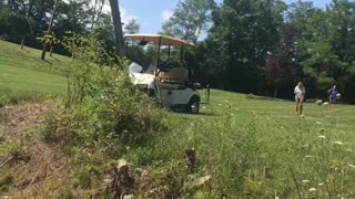 Rogue Golf Cart Goes Rolling