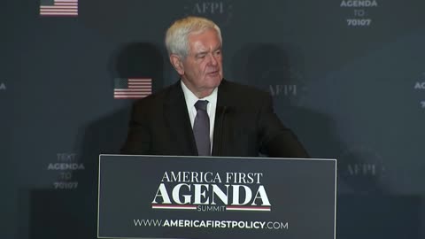 'American Tsunami': Newt Gingrich Predicts Upheaval in 2022 Midterms