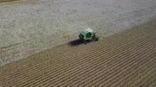 Mavic Pro footage of Cotton Picking in TN