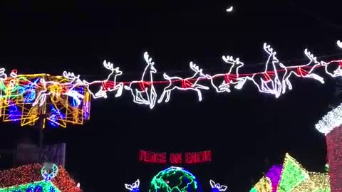 Disney Osborne Lights