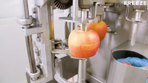 Food Factory Machines operating at an Insane Level▶4