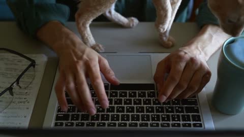 Closeup view of man working with laptop at table and cat in apartment room spbas