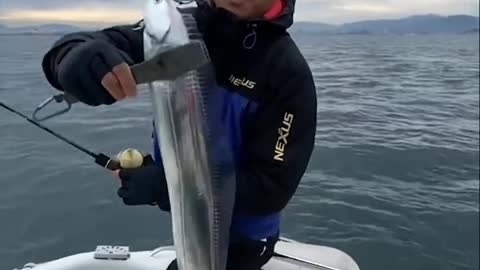 Glassy fish found in sea