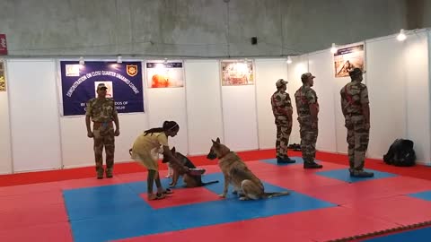 CISF demonstration of Dog squad