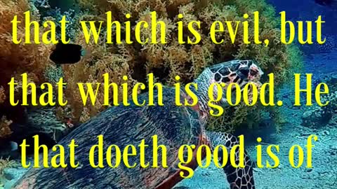 BIBLE VERSE FOR THE DAY... Beloved, follow not that which is evil, but that which is good.