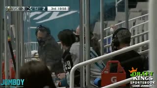 NHL fight