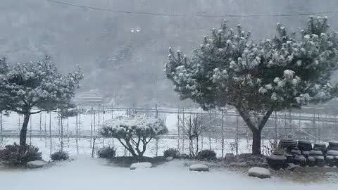 Snow on rural area