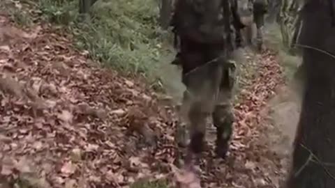 Short Video from Ukrainian Militant