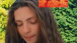 In Love, At Ease by Yogi Trivedi - Part 67 (Yamsox Live Reading June 22nd 2024)