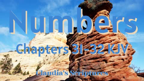 The Bible Series Bible Book Numbers Chapters 31-32 Audio