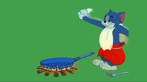 Tom and jerry funny catroon