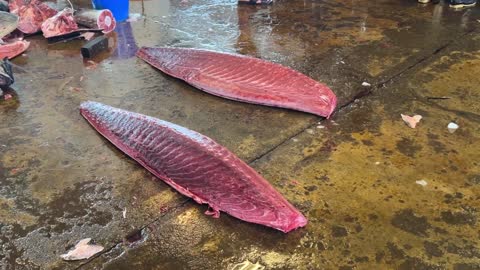 Amazing bluefin tuna cutting skills(1)-Take you to understand