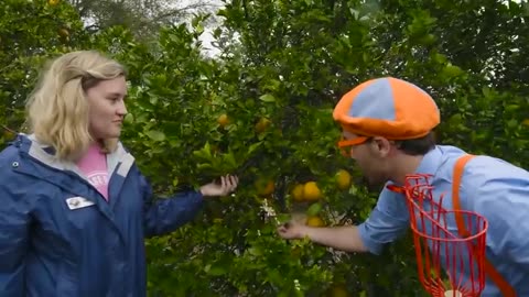 Blippi Learns About Fruits and Vegetables