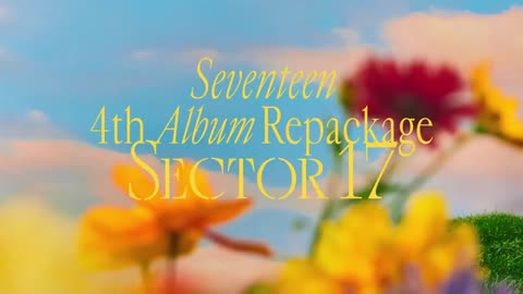 "Synced Symphony: SEVENTEEN's Dance Masterpiece"