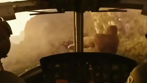 King Kong fight scene