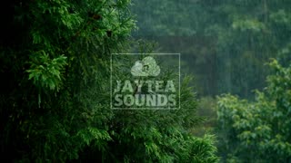 45min Rain & Piano: Relaxing Rain sounds with intro Piano. Beautiful Ambient Sleep Meditation sounds