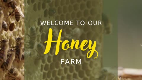 Honeybee Ads Animation 2