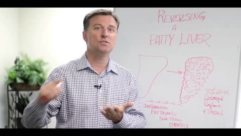 DrBerg-How To Reverse A Fatty Liver