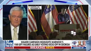 Newt Gingrich: Herschel Walker has an 'emotional pull' for many Georgians