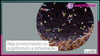 Qual o papel da #microbiota intestinal nas doenças infecciosas e inflamatórias? #inflamação #imuno