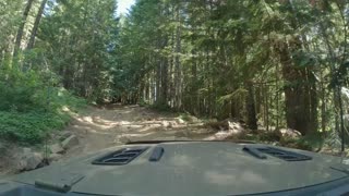 TSF (Tillamook State Forest) - Crusher - Jul 2023