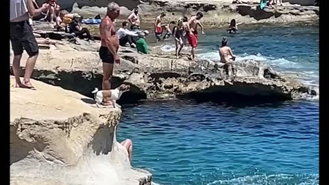 Dog Jumps To Swimming Owner's Arms