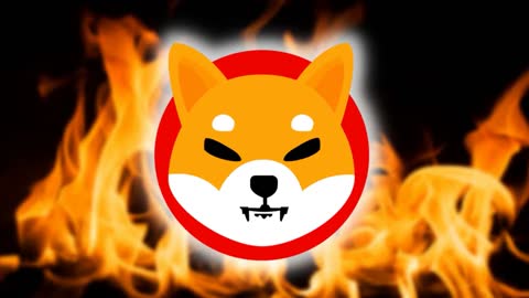 SHYTOSHI JUST ANNOUNCED SHIB SUPPLY WILL BE TOTALLY DESTROYED BY NEXT YEAR! - SHIBA INU NEWS