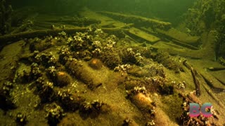 Divers discover 100 bottles of champagne in 19th-century shipwreck