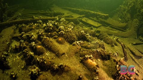 Divers discover 100 bottles of champagne in 19th-century shipwreck